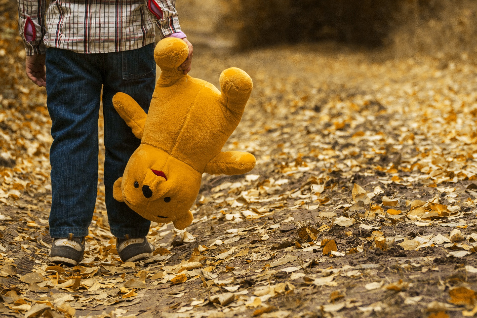 På bildet er det avbildet et barn som vandrer på en sti dekket av høstløv mens det holder i en teddybjørn, noe som kan symbolisere overganger som å flytte fra hverandre med barn.